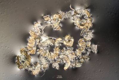 Microplastics from kitchen cuttingboard