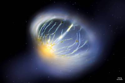 Bioluminescent microalgae Pyrocystis noctiluca