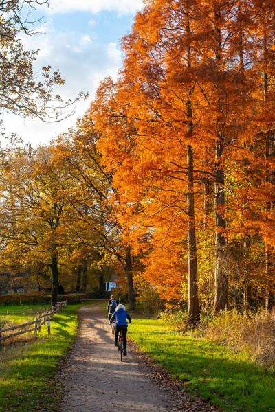 FK25-11-9-Xpro3-DSF2358_original