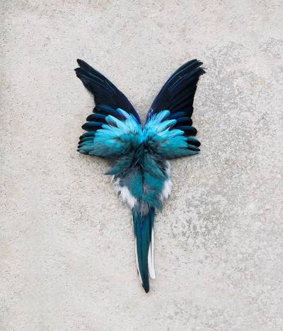 monique_goossens_bird_flower_blue_FINAL750_px_original