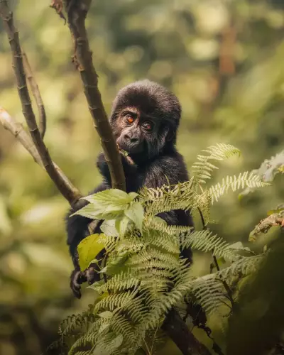 CdB_4U7A3027-Edit.jpg_original