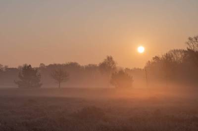 Erik_Tolboom_Fotografie_avond_20250328_0013_vs2_original