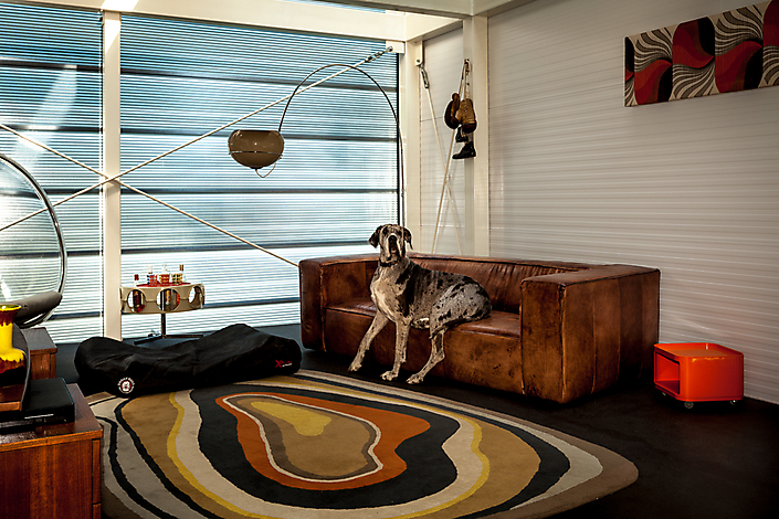 Almere Poort 2013. Dog Kaatje in her living room, an experimental self-build home without windows. 