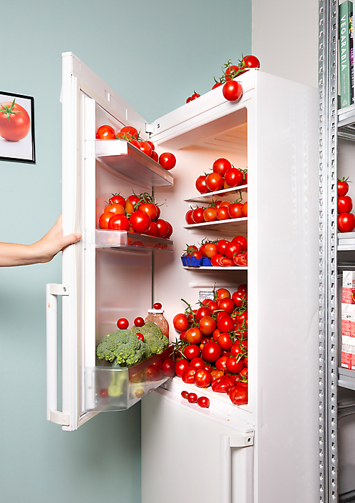Tomato fridge, 2017, from the series Living room safari. 
