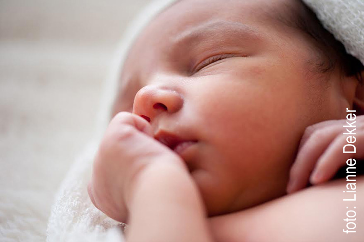 Newborn Photography - Lianne Dekker